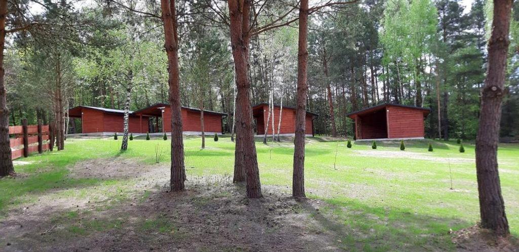 Domki Wrzosowe Wzgorza Nr2 Horyniec Εξωτερικό φωτογραφία